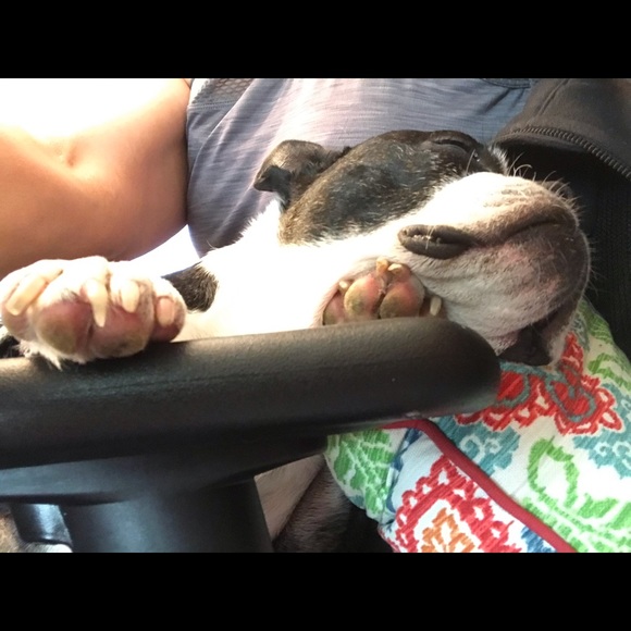 Meet your Posher, Lori - Picture 10 of 16